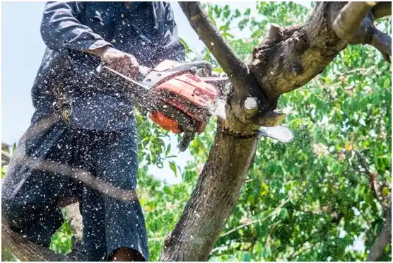 tree services Williamstown